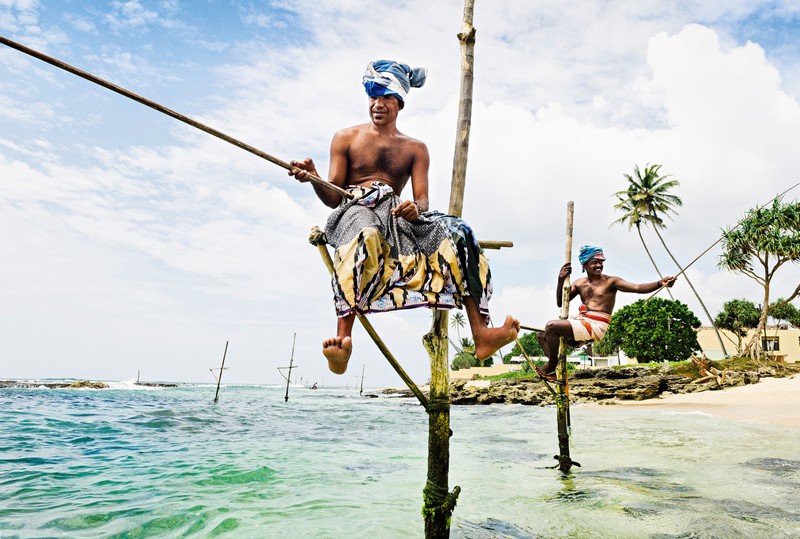 fishing on stilts in sri lanka