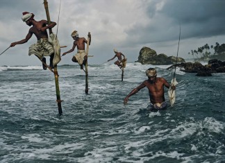fishing on stilts in sri lanka