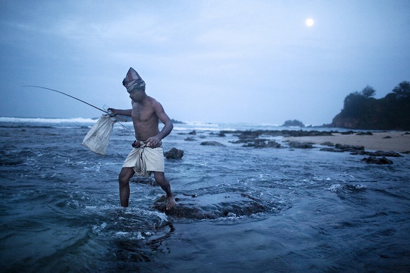 fishing on stilts in sri lanka