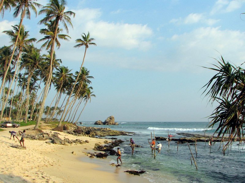 fishing on stilts in sri lanka