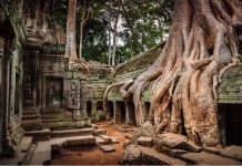 Top 5 places to visit in Cambodia