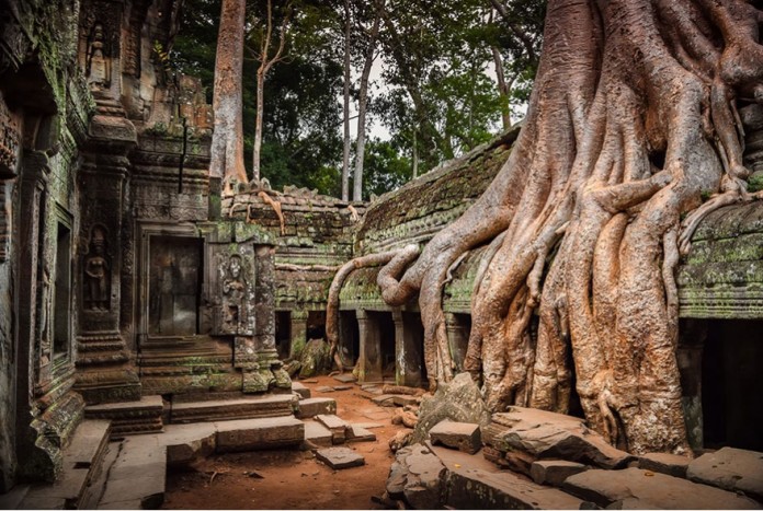 Ta Prohm Temple, Agkor, Cambodia