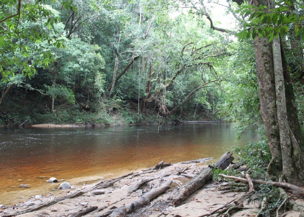 Taman Negara National Park malaysia 2