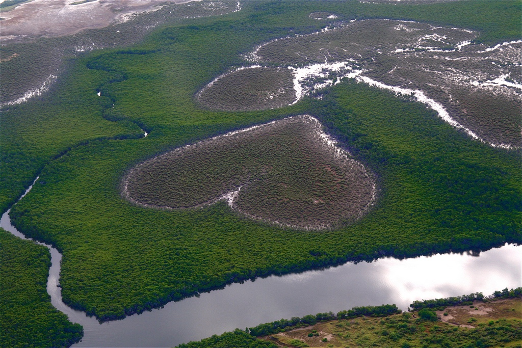 The Coeur de Voh, New Caledonia - mapio.net
