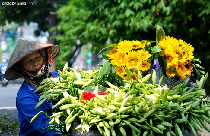 The peddler and the lily bunchs of flower_Hanoi Spring Photo_Photo by Giang Trinh
