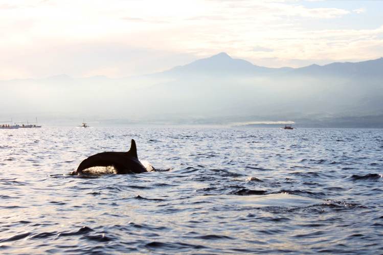 There are still pockets of serenity to be found beyond the chaos of south Bali.