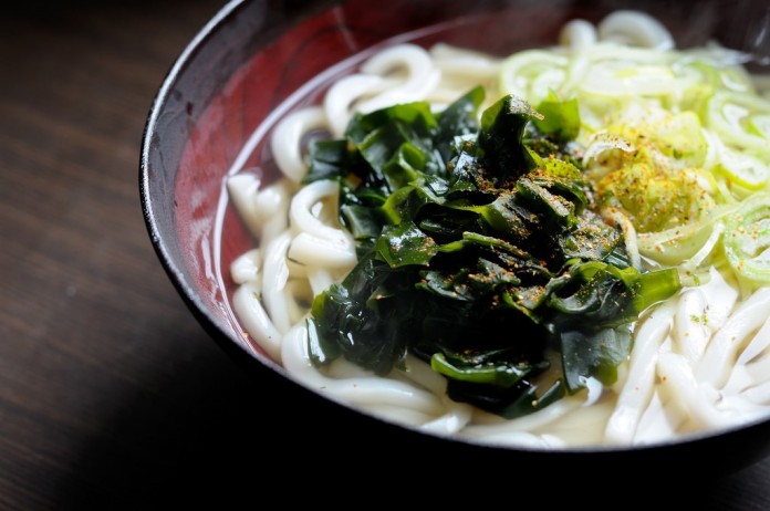 Udon noodles - Japan