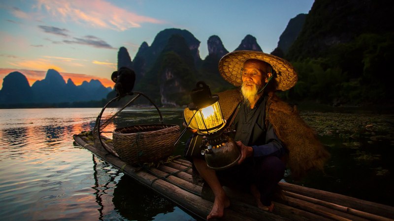 fishing by cormorants in li jiang river china