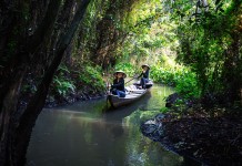 Top 9 must-go places in Dong Thap province, Vietnam