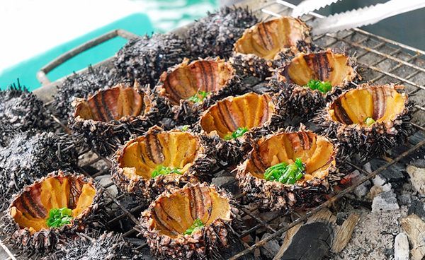 Sea urchins grilled with spring onion, oil, and peanuts