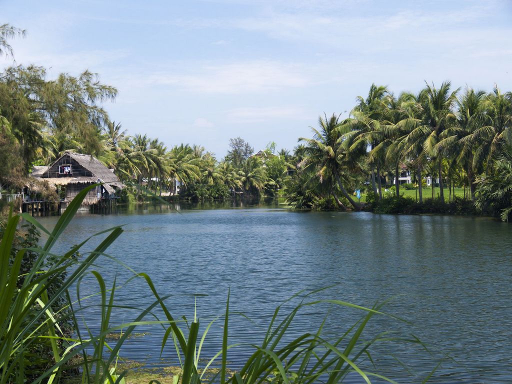 Beautiful Bay Mau Coconut Forest Photo: dananghoian