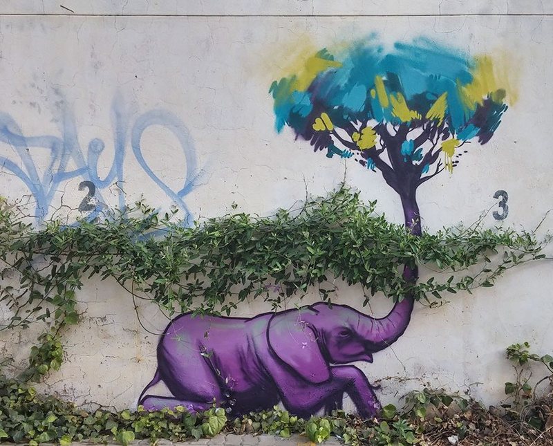 Elephant Street Art In South African Villages