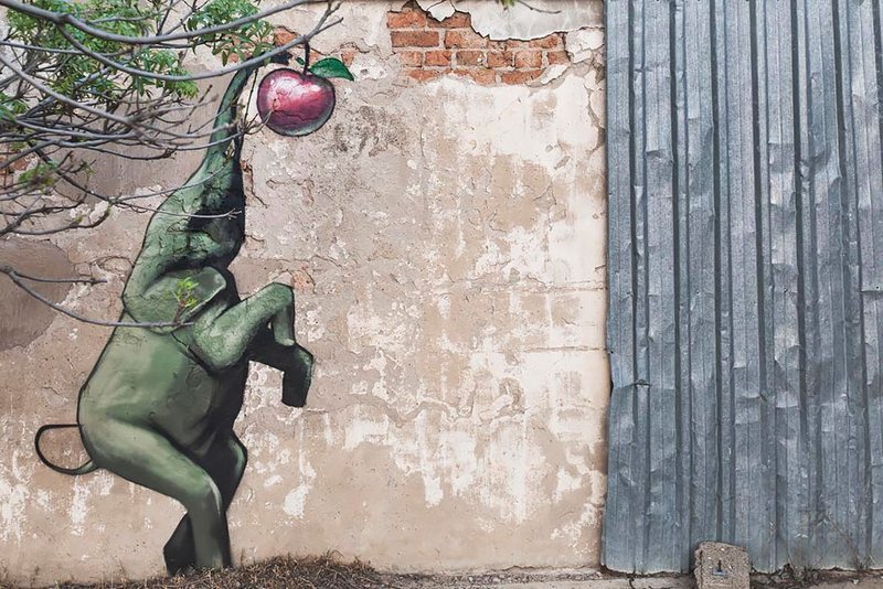 Elephant Street Art In South African Villages