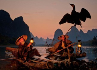 fishing by cormorants in li jiang river china
