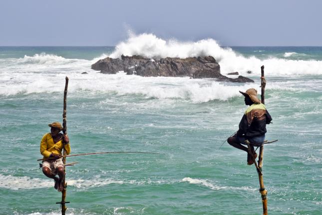 fishing on stilts in sri lanka