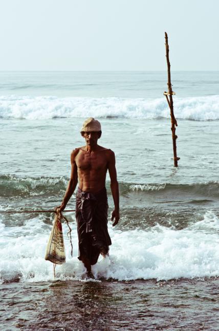 fishing on stilts in sri lanka