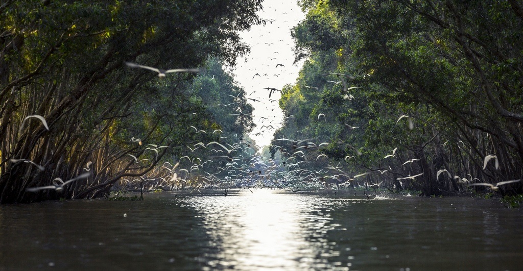 mekong delta 18