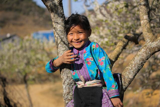moc chau grassland in spring vietnam photos