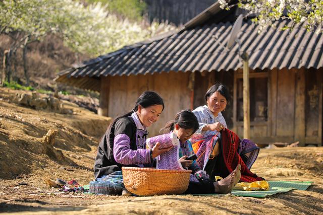 moc chau grassland in spring vietnam photos