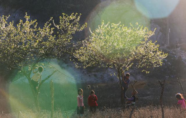 moc chau grassland in spring vietnam photos