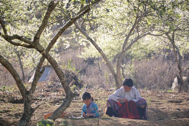 moc chau grassland in spring vietnam photos