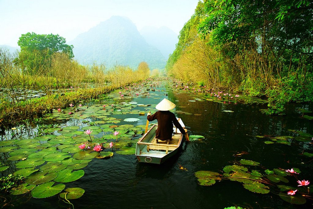Image by businessinsider.com