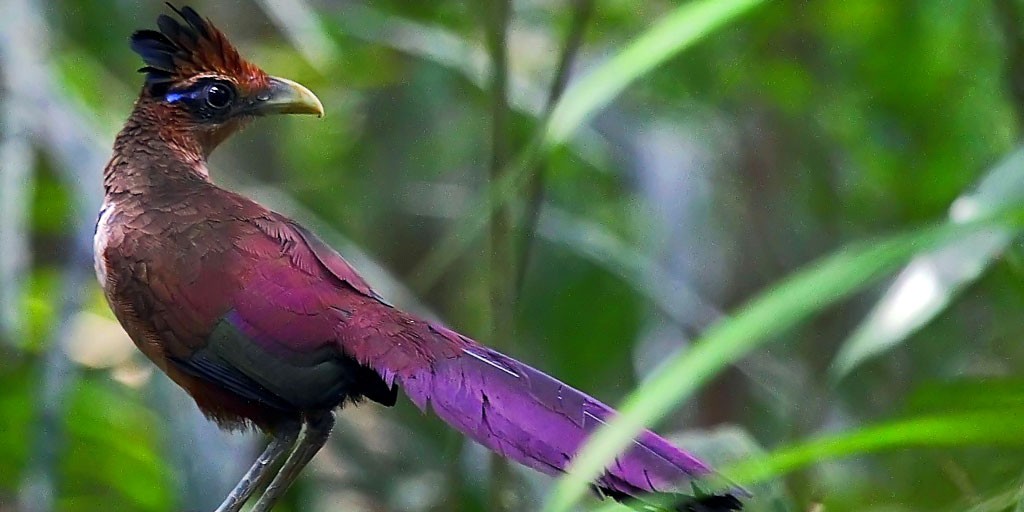panama travel things to do 32