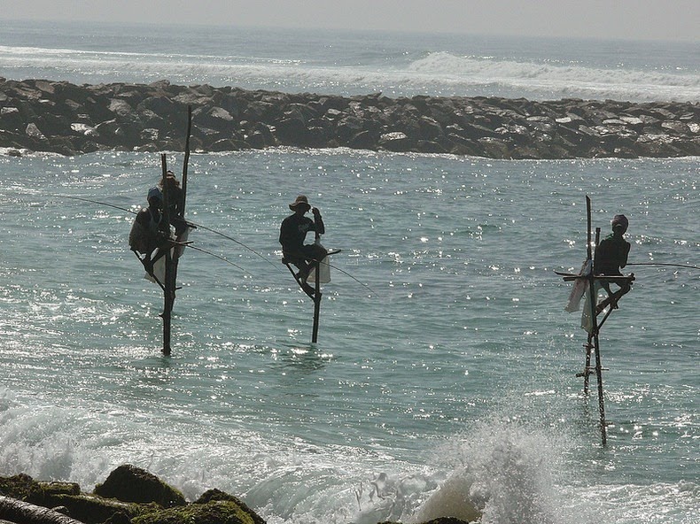 Stilt Fishermen Of Sri Lanka (PHOTOS)