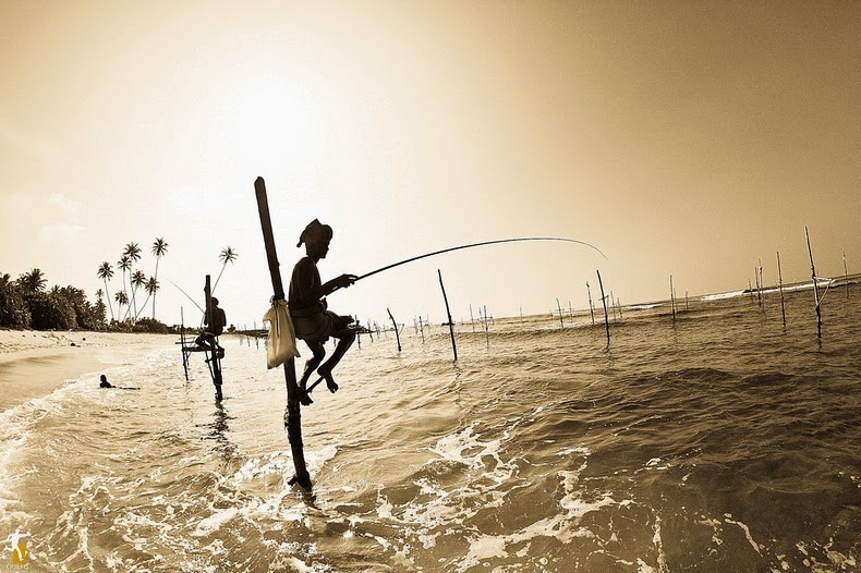 Stilt Fishermen Of Sri Lanka (PHOTOS)