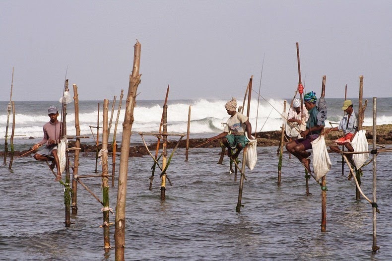 Stilt Fishermen Of Sri Lanka (PHOTOS)
