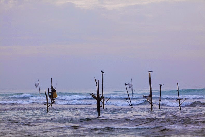 Stilt Fishermen Of Sri Lanka (PHOTOS)