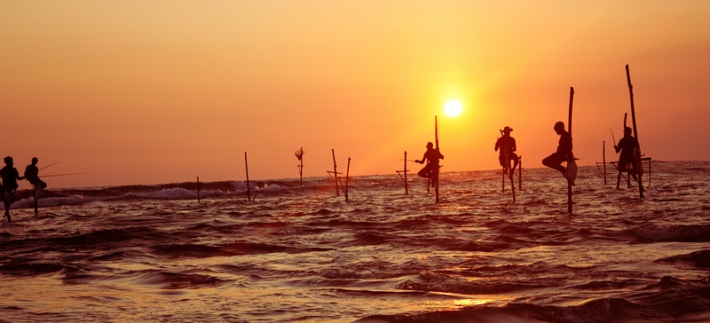 fishing on stilts in sri lanka