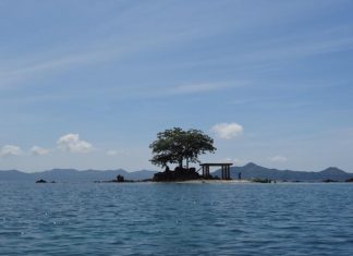 tapik beach palawan philippines travel guide (1)