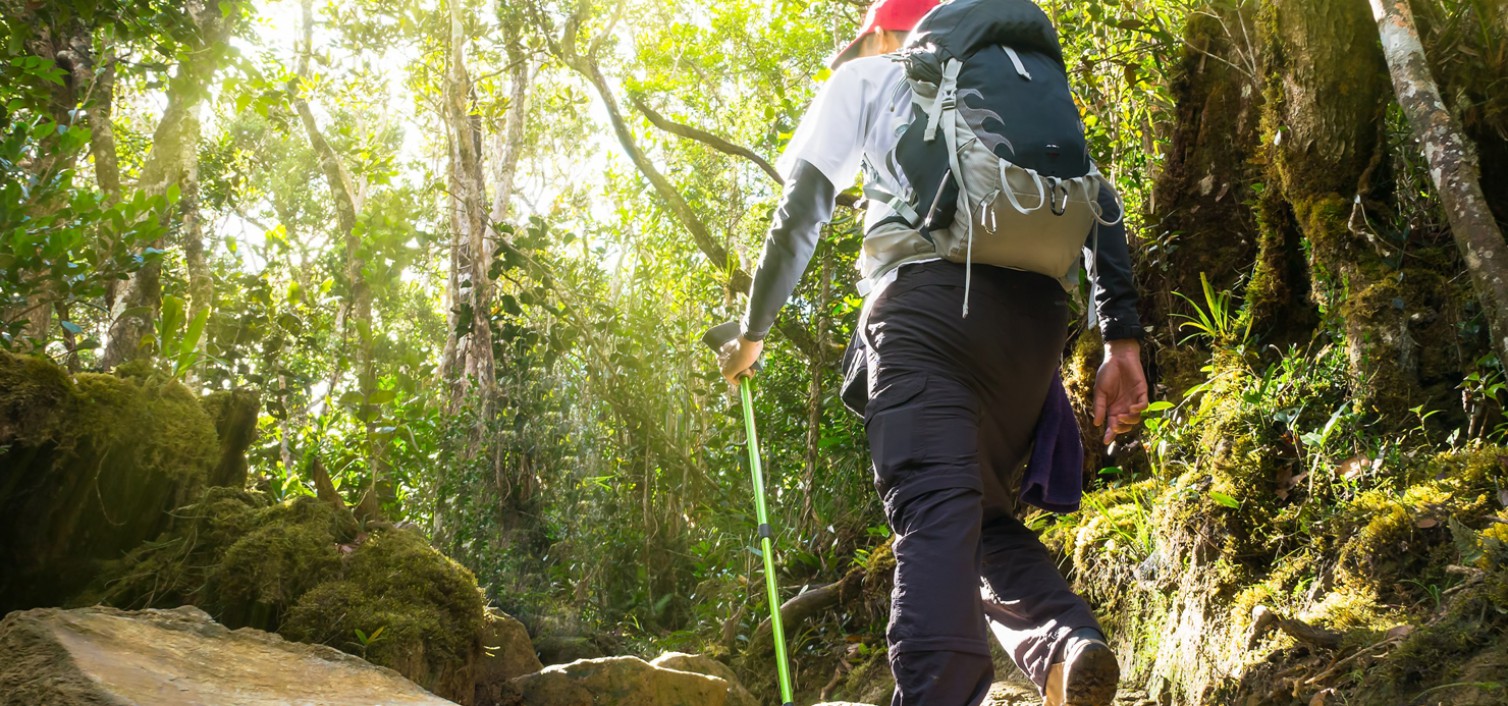 Asia’s Coolest National Parks and Nature Reserves
