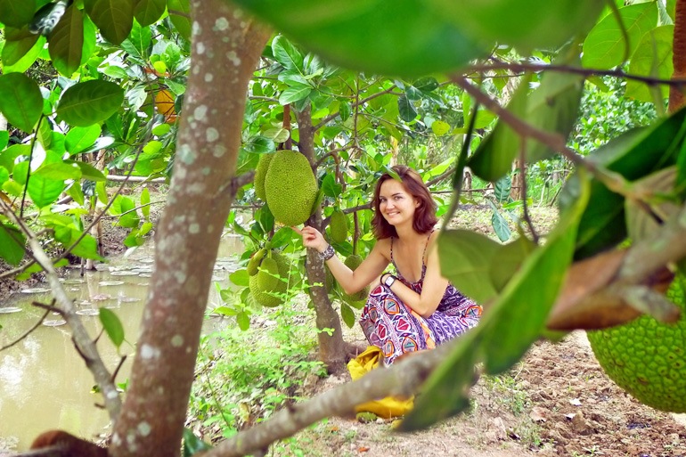 tourist in a jackfruit garden