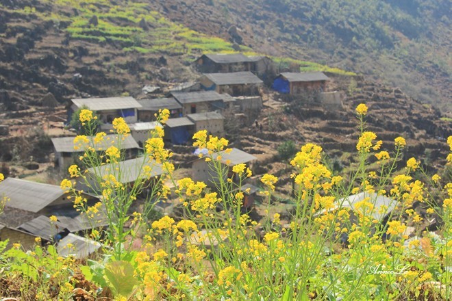 valleys Pho Bang Ha Giang Vietnam