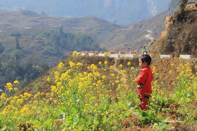 valleys Pho Bang Ha Giang Vietnam