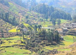 valleys Pho Bang Ha Giang Vietnam