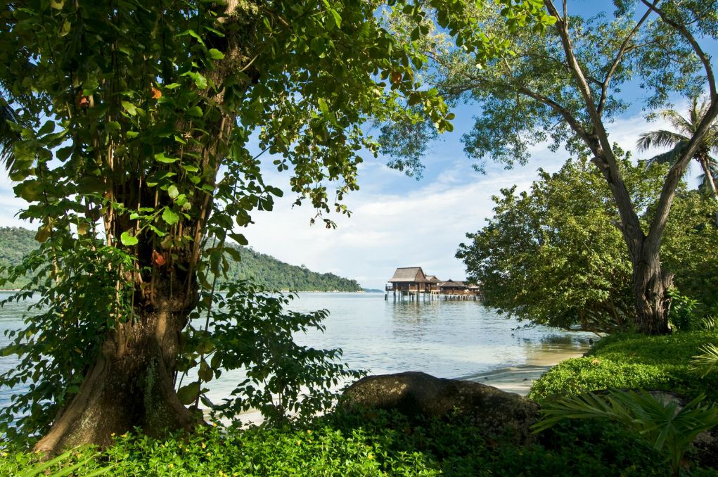 pangkor nature 2