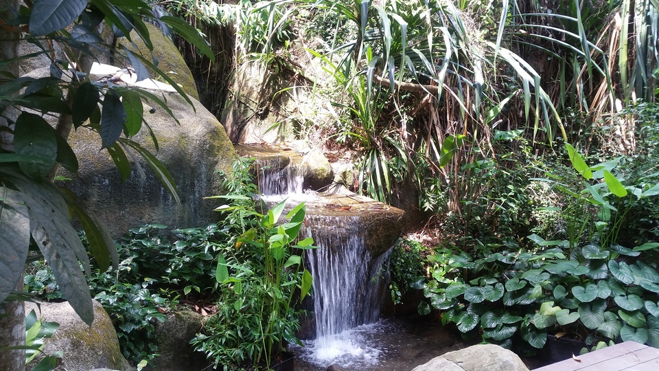 Sentosa Nature Discovery