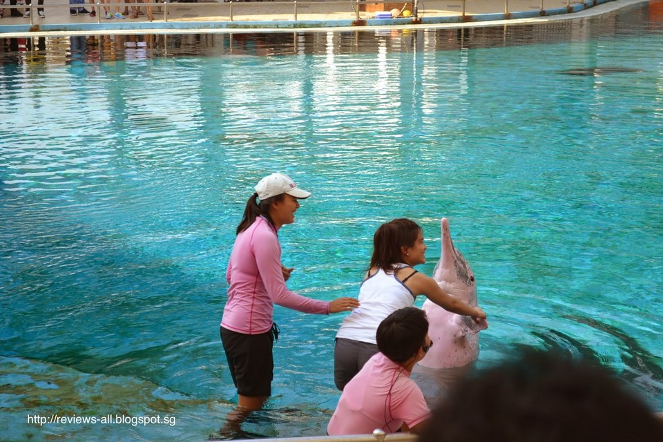 Underwater World and Dolphin Lagoon