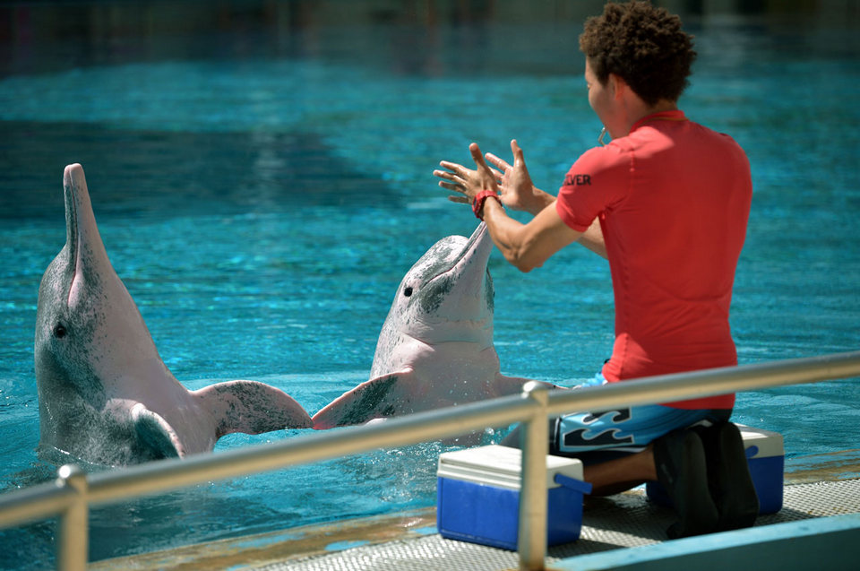 Underwater World and Dolphin Lagoon