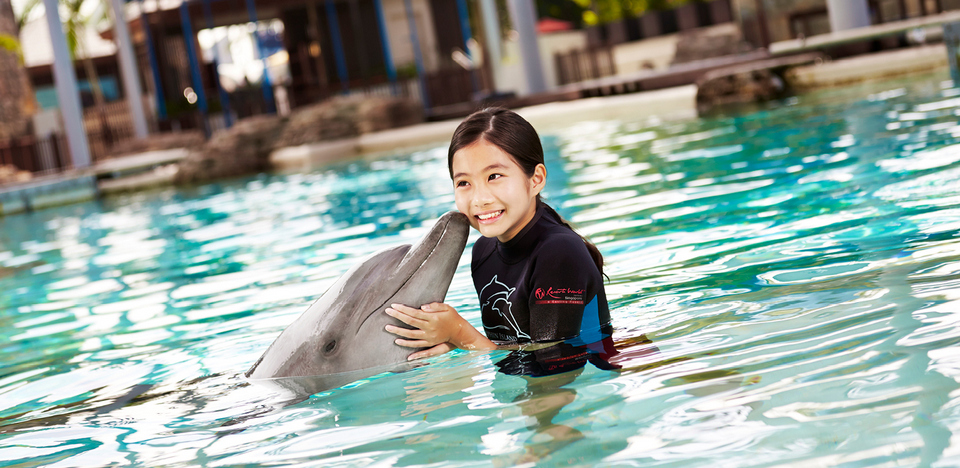 Underwater World and Dolphin Lagoon