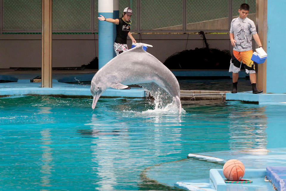 Underwater World and Dolphin Lagoon