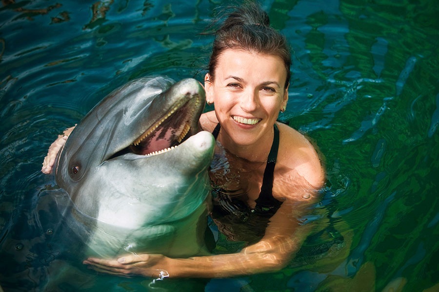 Underwater World and Dolphin Lagoon