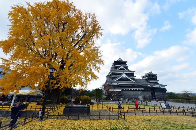 Kumamoto castle, Kumamoto province