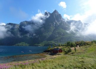 Lofoten scandinavia norway white night summer