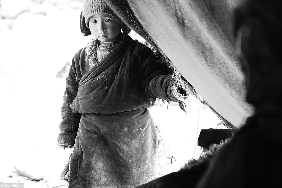No-money, no-technology, and nomadic life of a tribe in the Himalayas