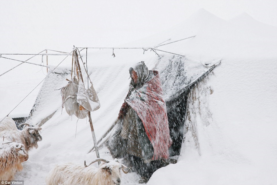 No-money, no-technology, and nomadic life of a tribe in the Himalayas