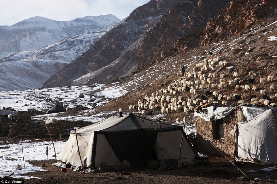 No-money, no-technology, and nomadic life of a tribe in the Himalayas